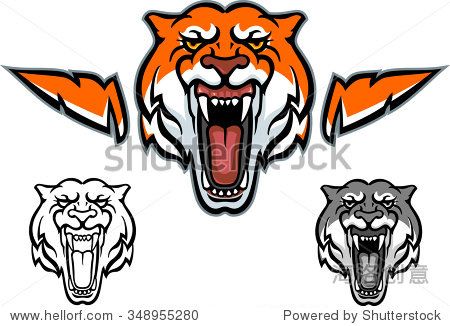 tiger mascot roar-variations of tiger head baring his teeth