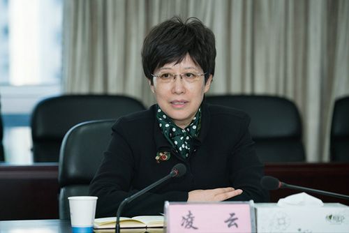 凌云 财务部网站 材料图
