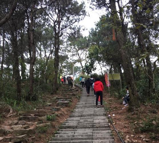 横县娘娘山的桃花源记:桃花春意朵朵来,有情半山处处开.