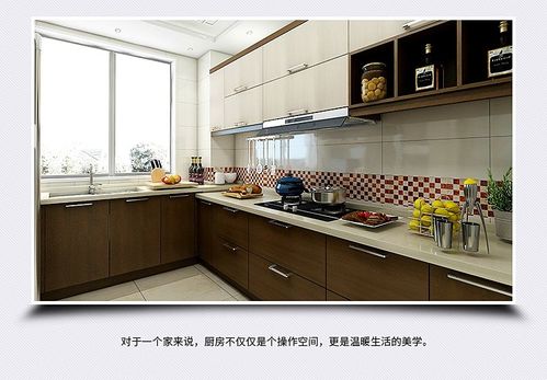 欧派橱柜图片整体厨房橱柜灶台装修效果图