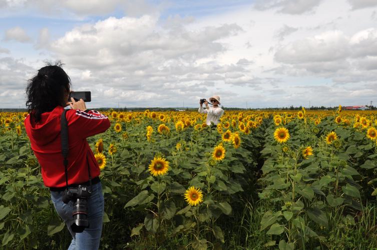 黑河花海好风光