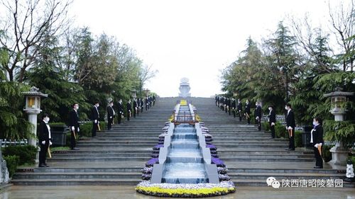 唐昭陵墓园:清明推行代祭祀,用心守护每份嘱托