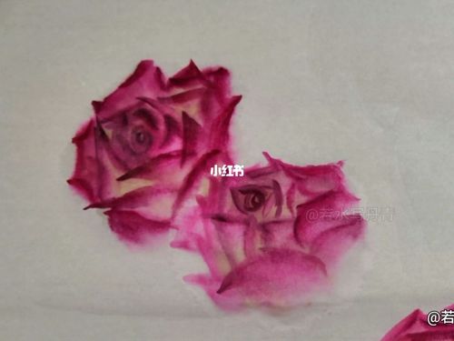 月季花的画法_中国风国画月季花的画法_四_中国风_国画_绘画_寻找