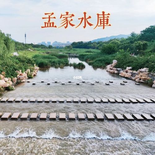 玩水季at孟家水库_孟家水库_济南溜娃_景点_五龙潭公园_垂钓_出行