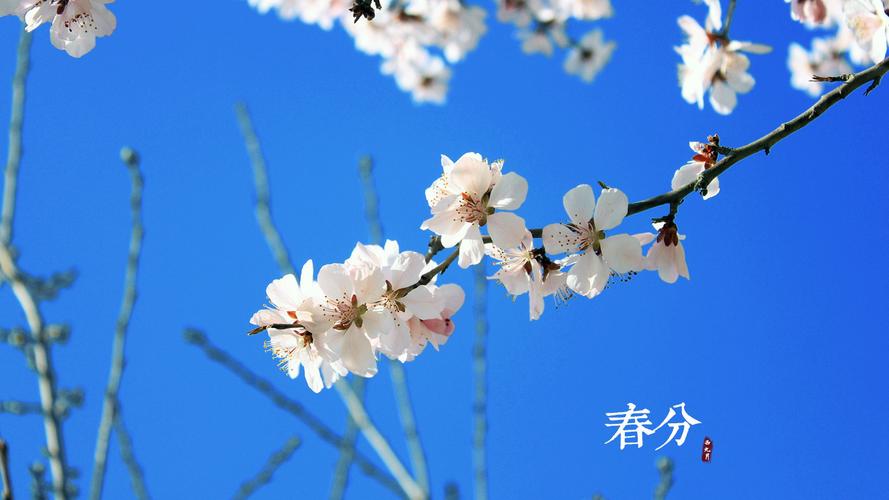 【摄影部】《春分》by西九月