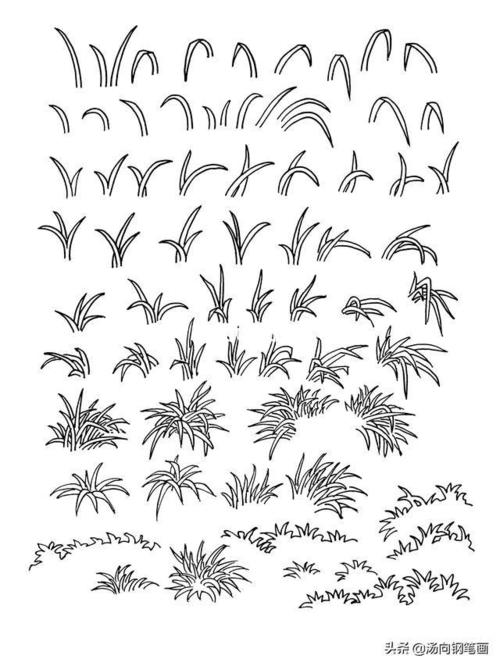 钢笔画练习小草02 /附临摹素材_钢笔_画画_画画的日常