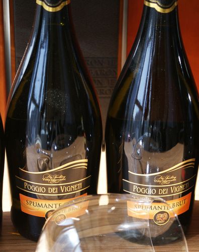 意大利奔极汽酒 poggio del vigneti spumante brut