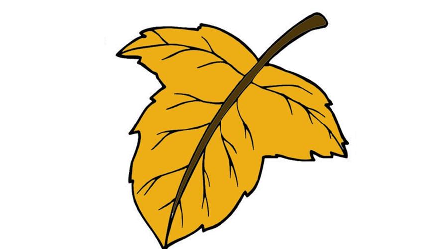 落叶简笔画如何画