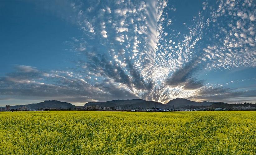 花香果香富民 昆明最美的后花园