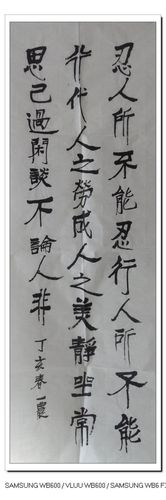 早期书法_赵一农