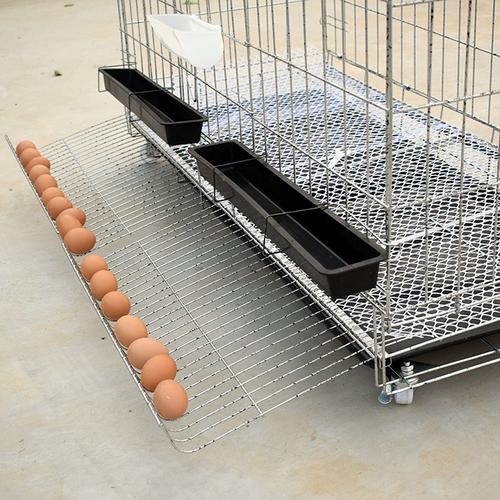 自动滚蛋鸡笼 家用