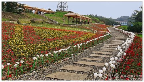 宜宾西部农庄—四季花海