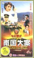 南国大案