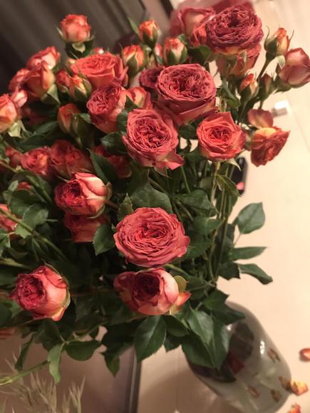 鲜花团购-巧克力泡泡玫瑰(多头玫瑰)