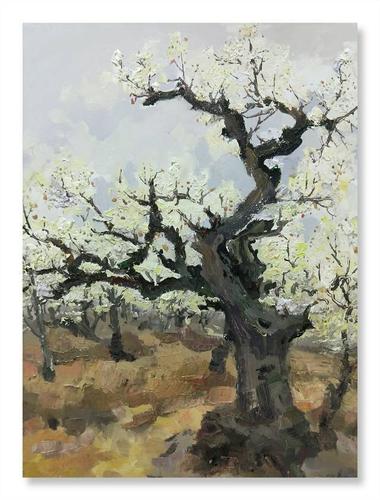 梨花含笑醉春风,博陆山间秀芳华――油画大师刘红博陆山写生