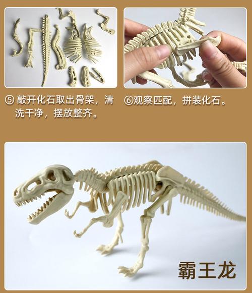恐龙化石考古挖掘玩具仿真霸王龙骨架模型儿童手工拼装益智玩具迷你版