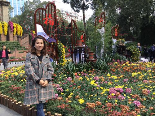 2020年10月29日在成都人民公园第五十八届菊花展……赏菊