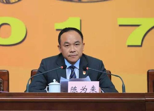 龙港书记陈为来说了一席话 好多人纷纷点赞!