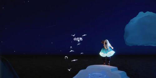 雨妈_光遇_摄影_美女_sky光遇_游戏_手机游戏