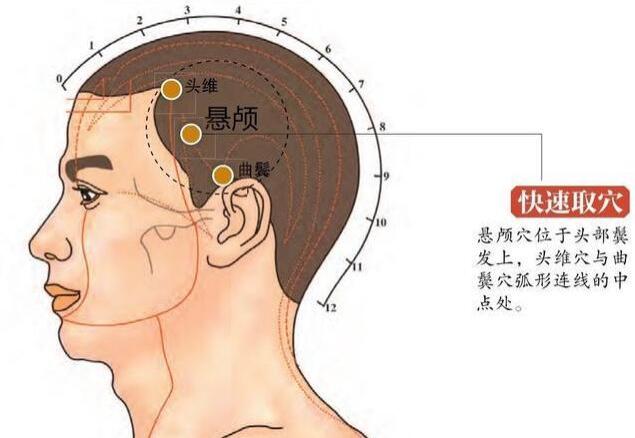 悬颅穴——祛风明目,清热消肿