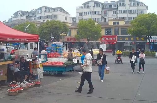 中华园城管-孔巷小区喊你来管管|昆山市城市管理局