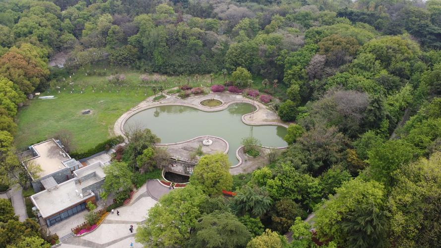 南京:百花齐放的古林公园