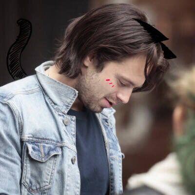 塞巴斯蒂安斯坦 sebastian stan 冬兵