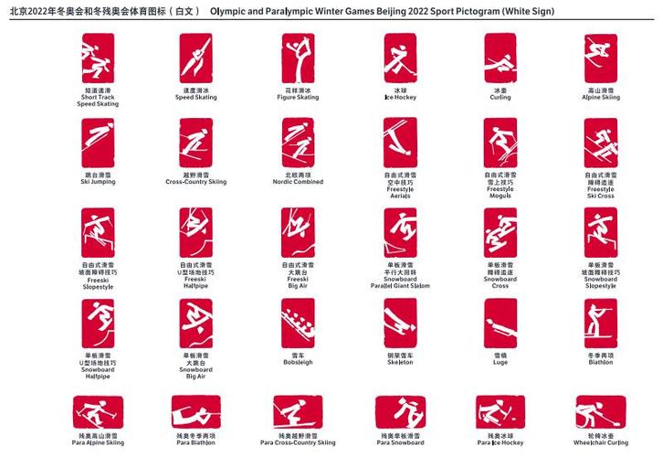 组图:北京2022年冬奥会和冬残奥会体育图标发布【6】