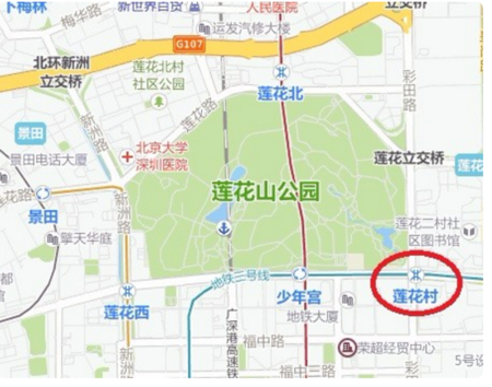 深圳莲花山公园离哪个地铁站最近