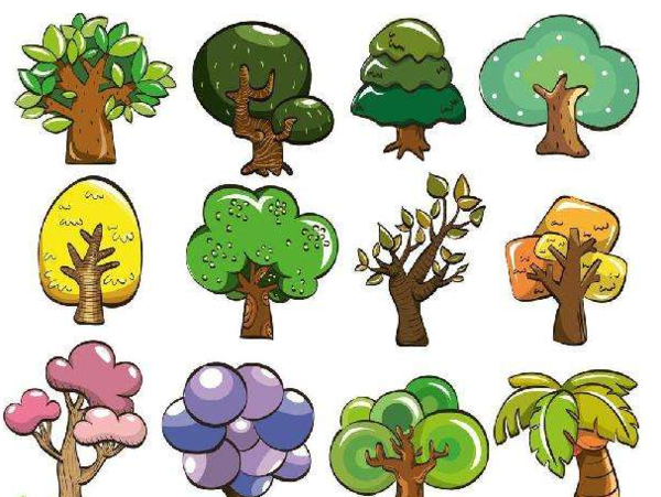 生活攻略 四季常青的树木有:桂花,红锥,红花木莲,油橄榄,香樟,塔松