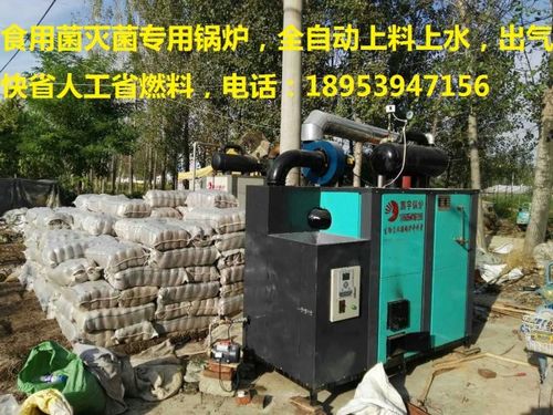食用菌灭菌蒸汽锅炉