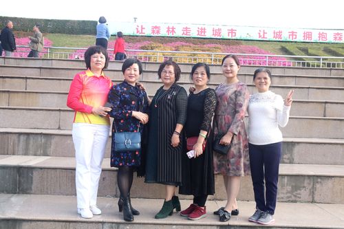 阳春知青第六届年会随感                                  孙淑芬