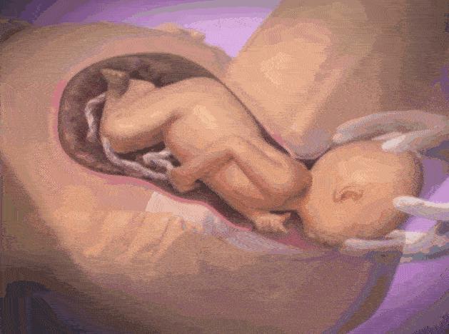 女人分娩全过程告诉你生孩子有多不易顺产的妈妈可真了不起