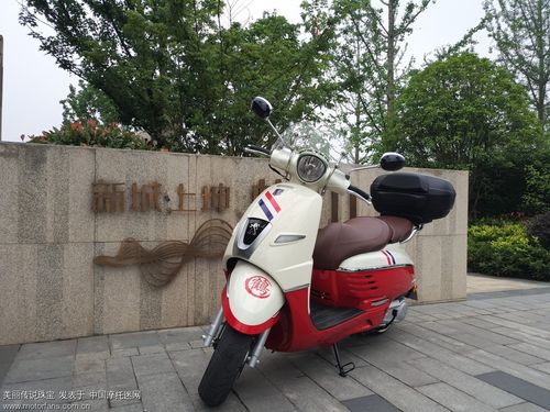 红白姜戈 留恋一下