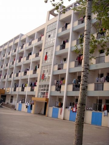 濮阳市第二高级中学校园风景
