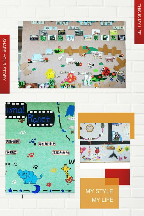 大班主题:海洋世界