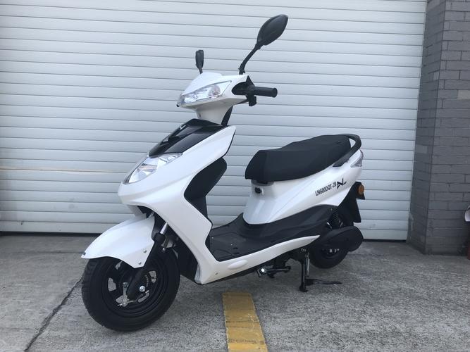 绿能牌ln600dqt2b电动两轮轻便摩托车