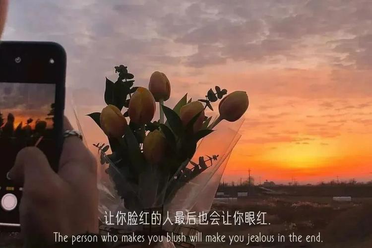 "丧到崩溃"的扎心文案:去吹吹风吧,能醒的话感冒也没关系