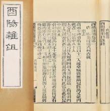 酉阳杂俎[唐代笔记小说集]
