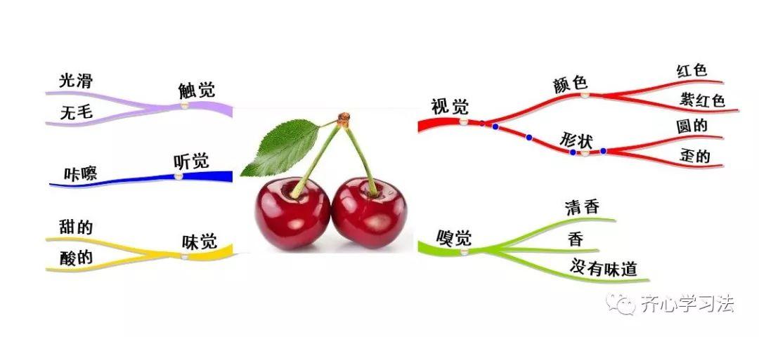 【齐心学习法】如何利用思维导图锻炼发散思维