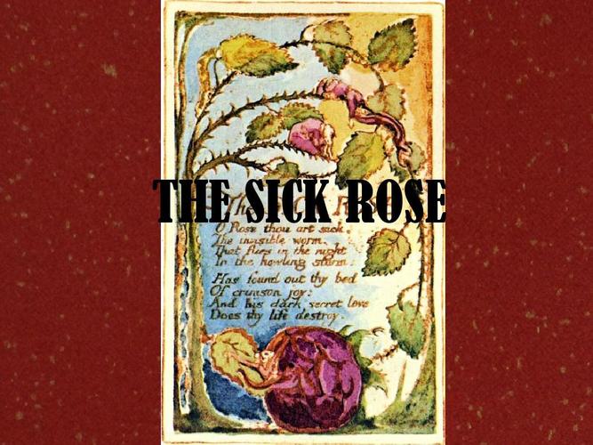 the sick roseppt
