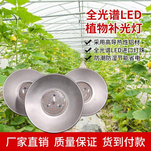 植物剩生长灯照明多肉灯led补光灯植物全光谱多肉专用补光灯批发