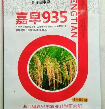 水稻种子高产水稻种子鄂中五号直播