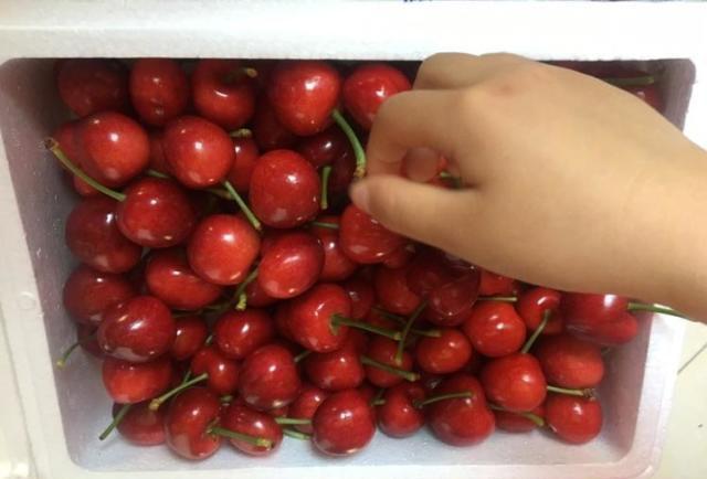 老公一次买了1000多块钱樱桃给我吃.够土豪的吧