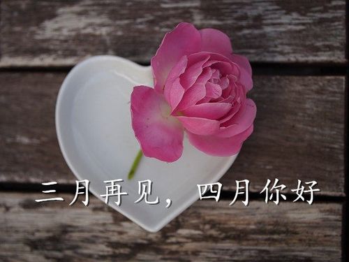 2021你好四月朋友圈简短祝福语句子2021适合四月第一天发微信祝福语