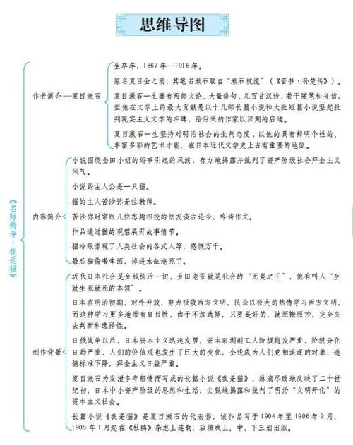 全面系统的阅读辅导7676内文讲解76 76名师精评·我是猫书号