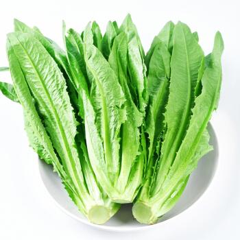 现采现发新鲜油麦菜蔬菜生鲜叶类农家自种小青菜火锅菜3斤油麦菜