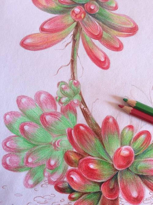 关键词:美女,彩铅,小教程