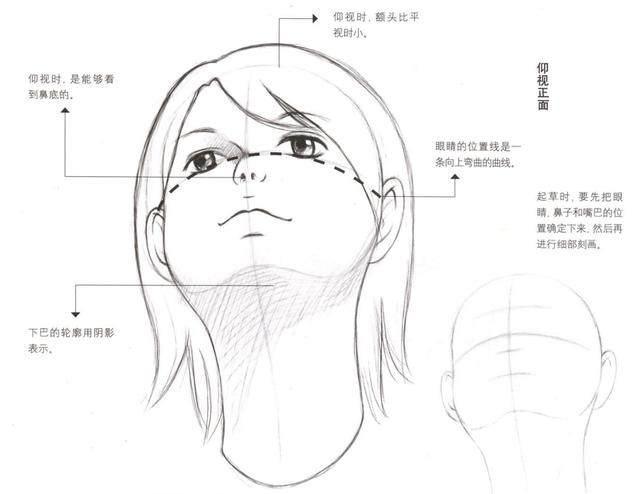 动漫人物脸部不同角度怎么画?动漫人物的五官详细画法