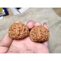 文玩核桃四座楼狮子头一对